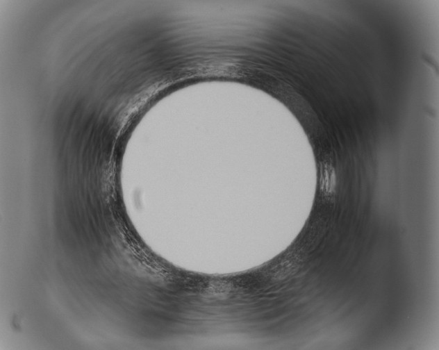 X0000103940388200810311530