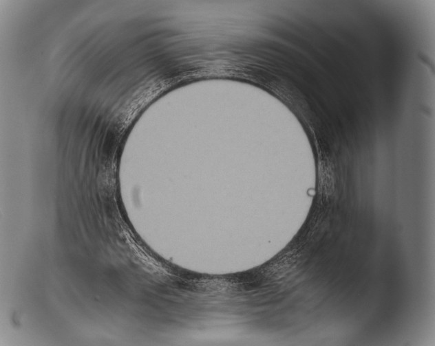 X0000103940389200810311530