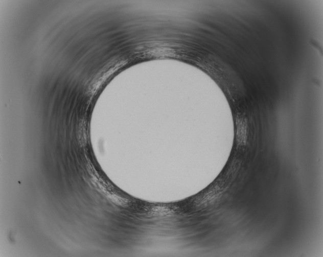 X0000103940390200810311530