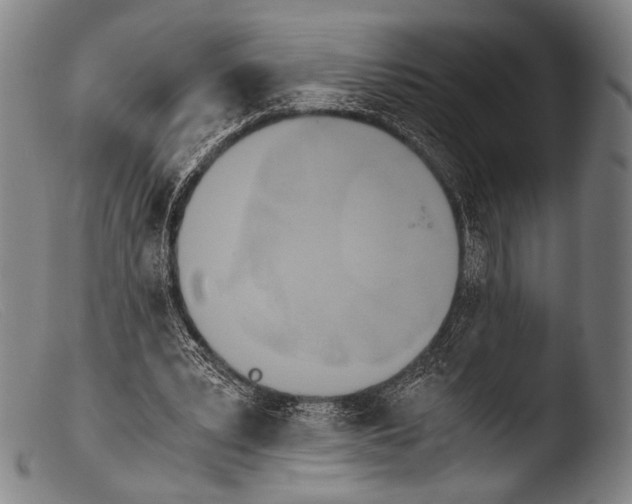 X0000103940391200810311530