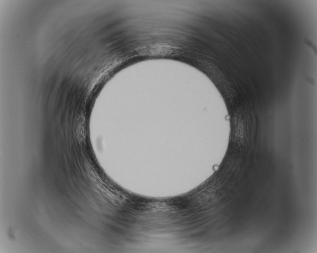 X0000103940392200810311530