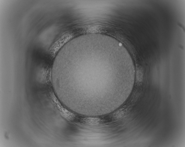 X0000103940393200810311530