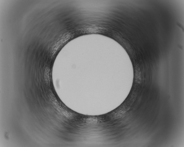 X0000103940394200810311530