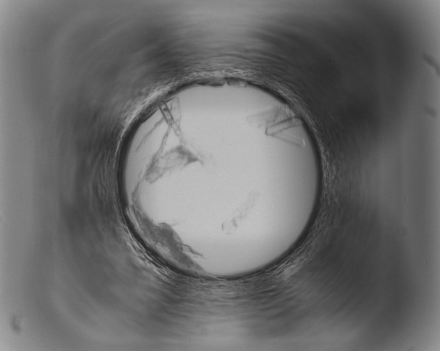 X0000103940395200810311530