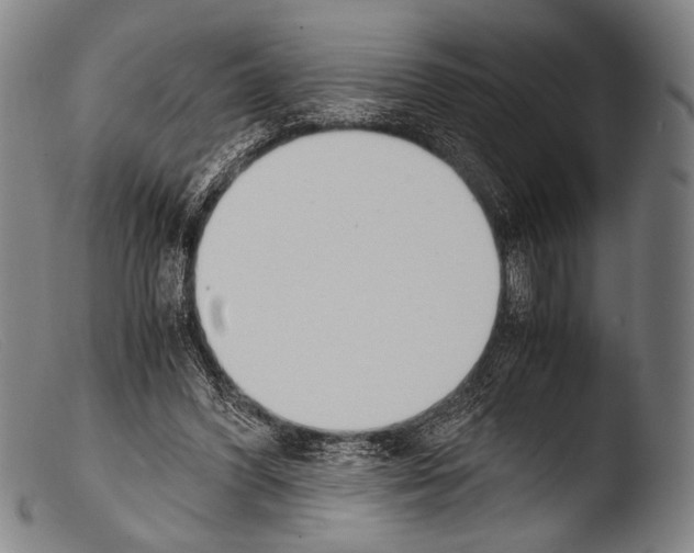 X0000103940396200810311530