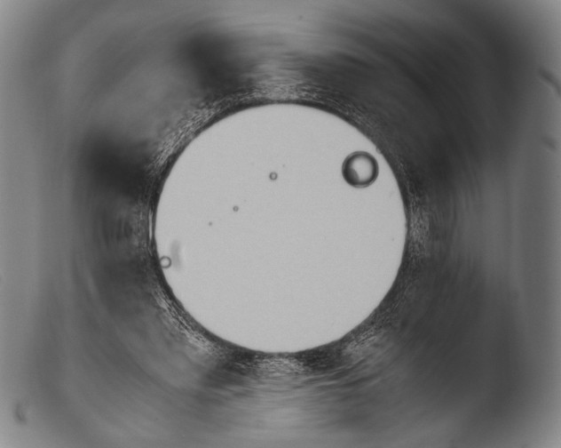 X0000103940397200810311530