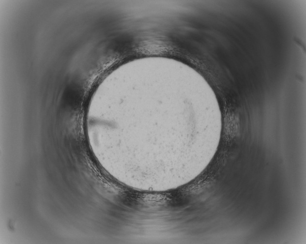 X0000103940399200810311530