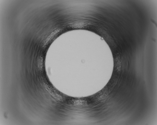 X0000103940400200810311530