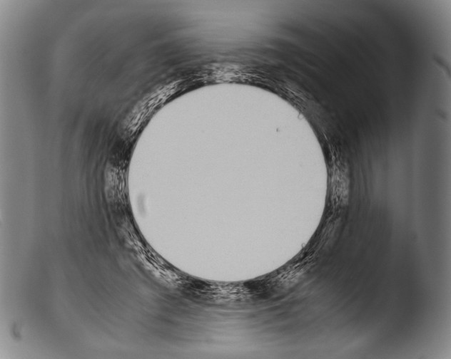 X0000103940401200810311530