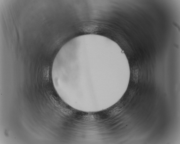 X0000103940404200810311530