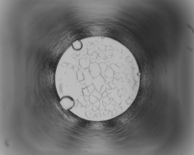 X0000103940405200810311530