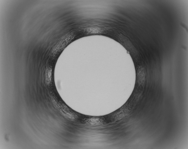 X0000103940406200810311530