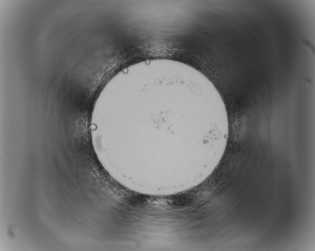 X0000103940407200810311530