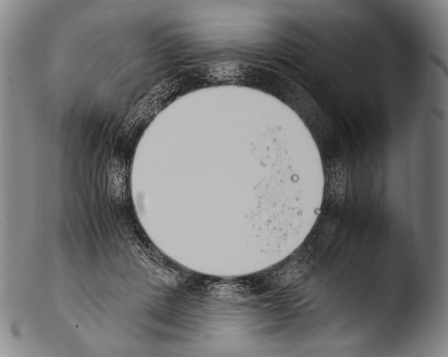 X0000103940408200810311530