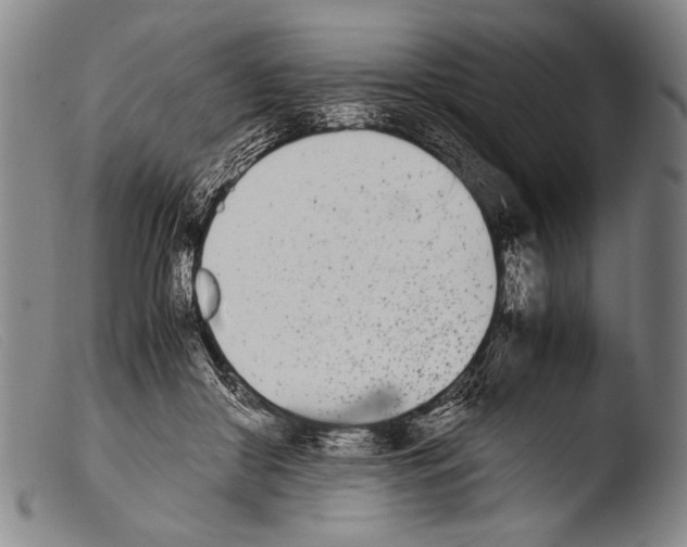 X0000103940410200810311530