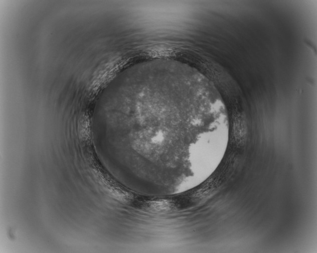 X0000103940411200810311530