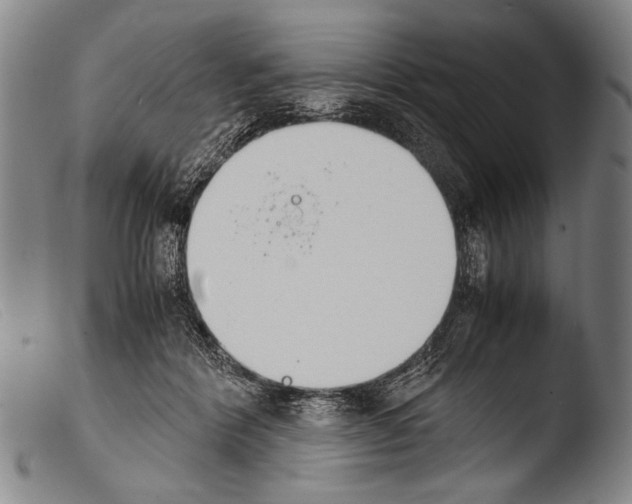 X0000103940412200810311530