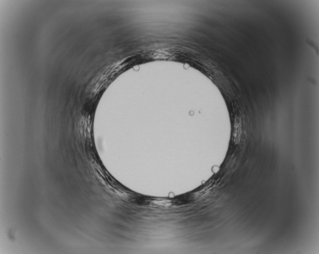 X0000103940413200810311530