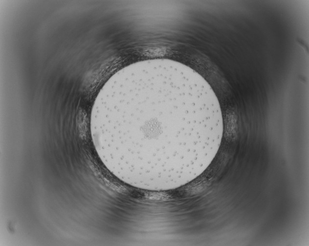 X0000103940414200810311530