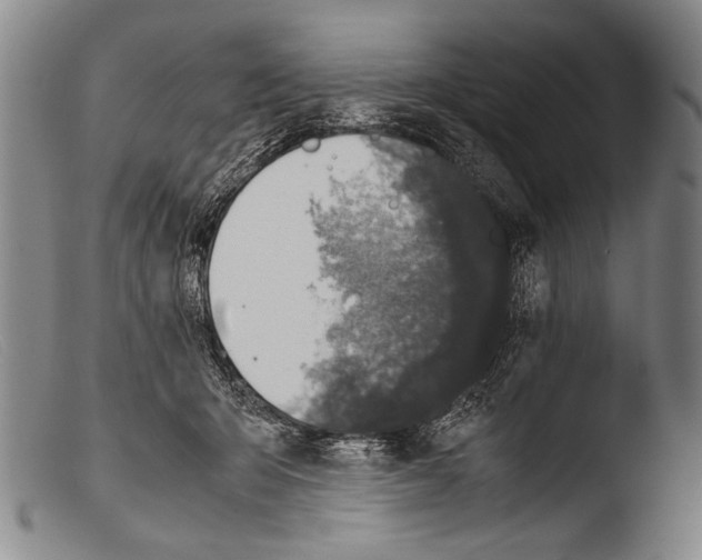 X0000103940415200810311530