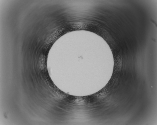 X0000103940416200810311530