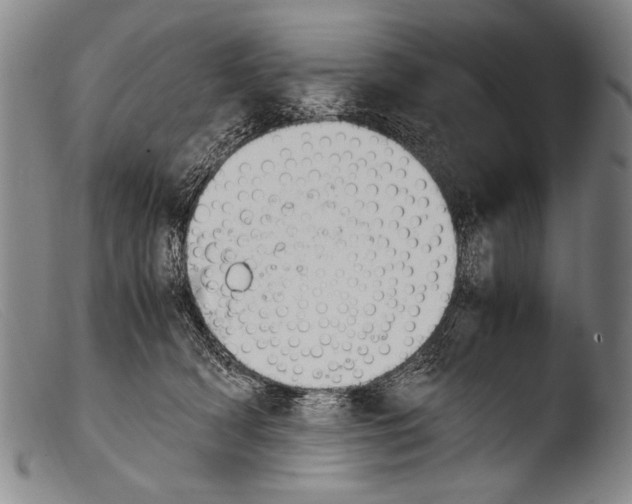 X0000103940418200810311530