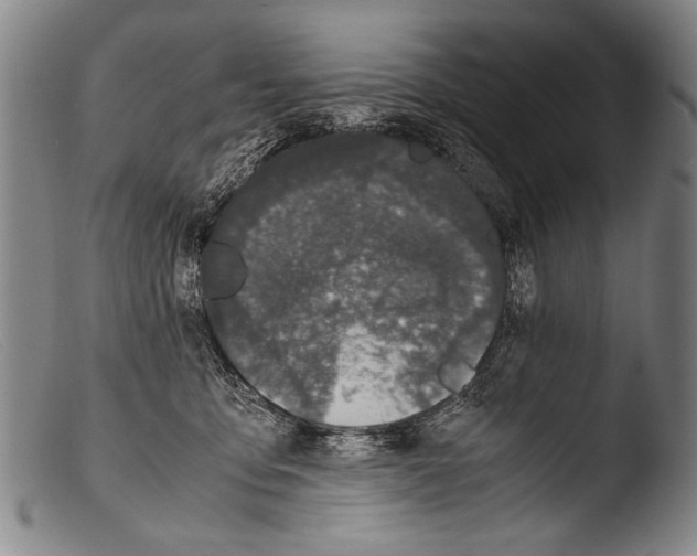 X0000103940419200810311530