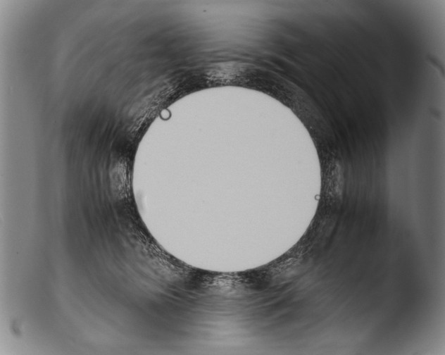 X0000103940420200810311530