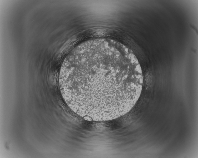 X0000103940423200810311530