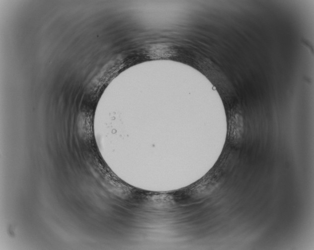 X0000103940426200810311529