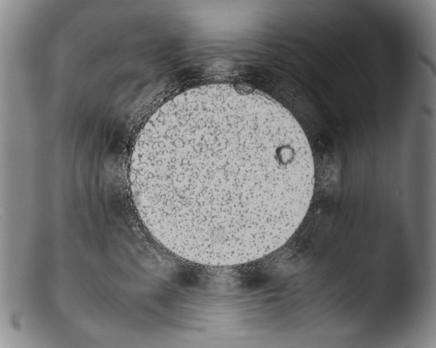 X0000103940427200810311529