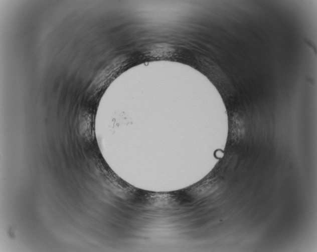 X0000103940428200810311529