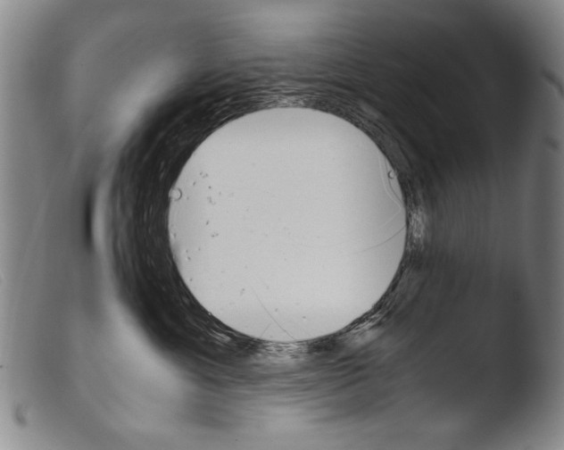 X0000103940429200810311529