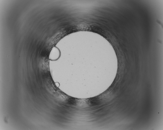 X0000103940432200810311529