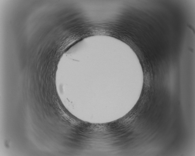 X0000103940433200810311529