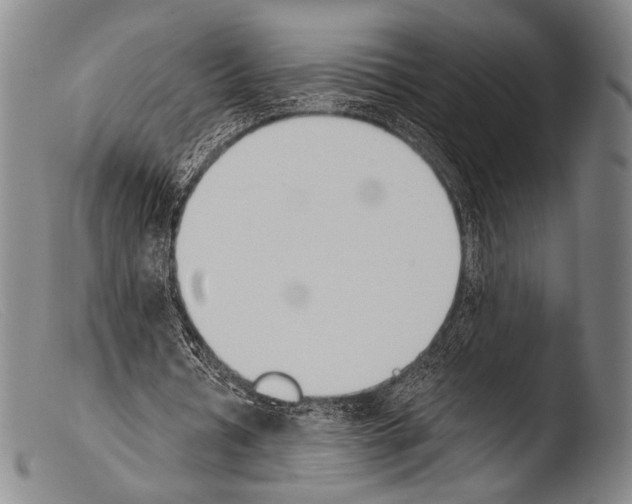 X0000103940434200810311529