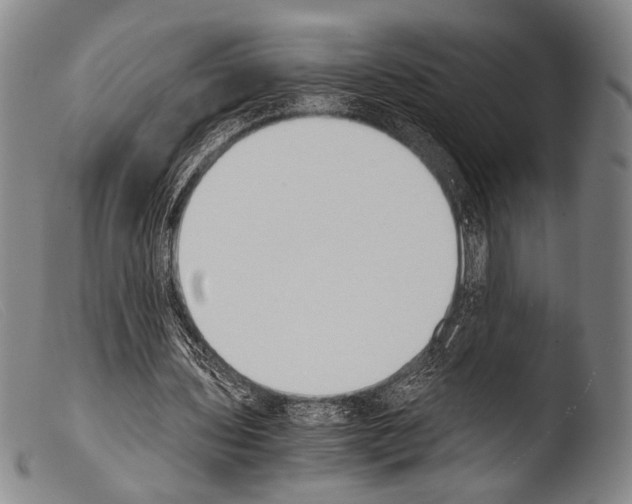 X0000103940435200810311529