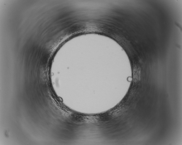 X0000103940436200810311529