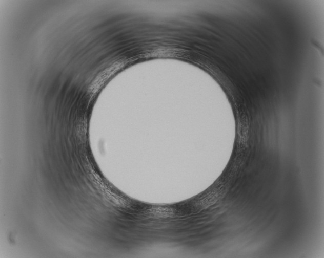 X0000103940437200810311529