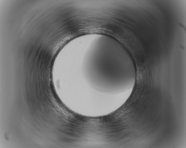 X0000103940438200810311529