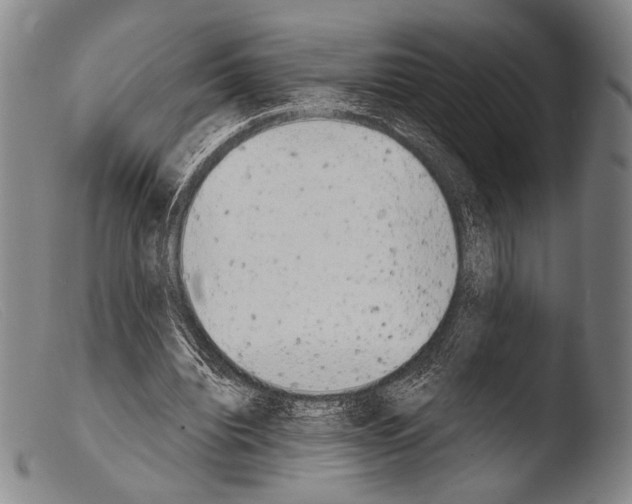 X0000103940440200810311529