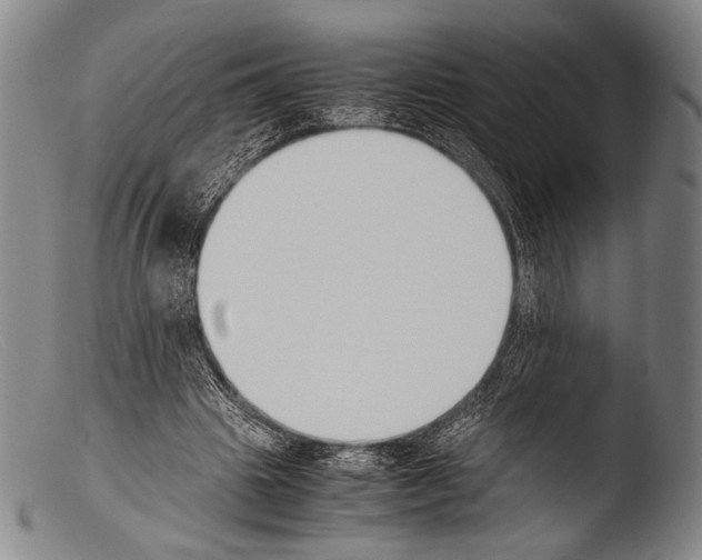 X0000103940441200810311529