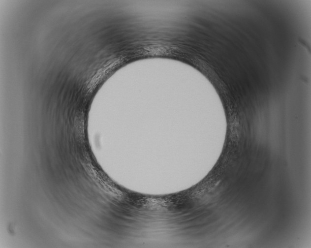 X0000103940442200810311529