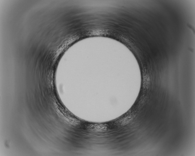 X0000103940443200810311529