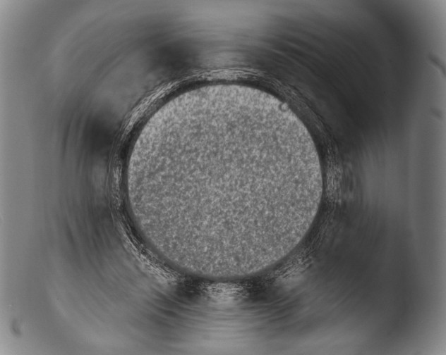 X0000103940444200810311529