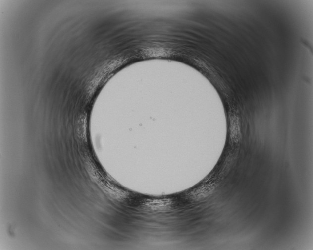 X0000103940447200810311529