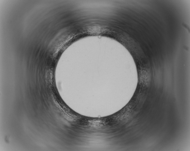 X0000103940448200810311529