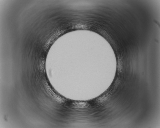 X0000103940449200810311529