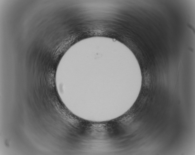 X0000103940450200810311529