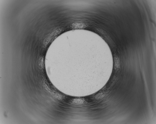 X0000103940451200810311529